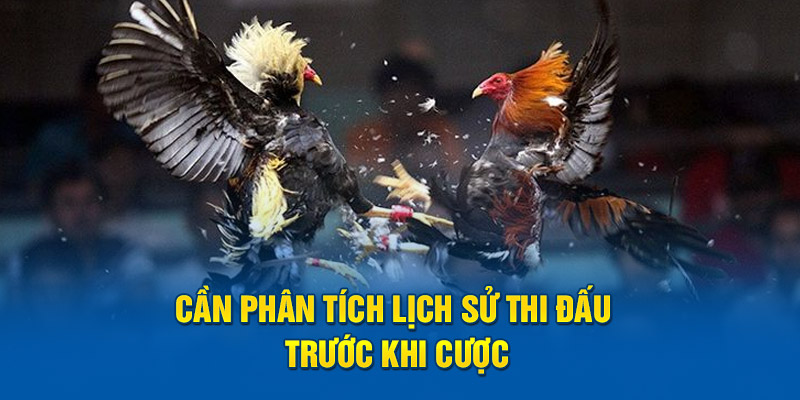 Cần phân tích lịch sử thi đấu trước khi cược