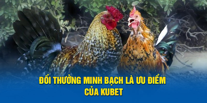 Đổi thưởng minh bạch là ưu điểm của Kubet