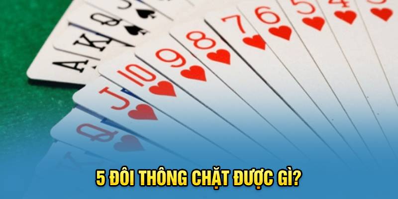 5 đôi thông chặt được gì?