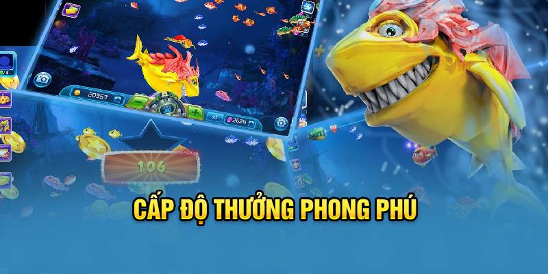 Cấp độ thưởng phong phú