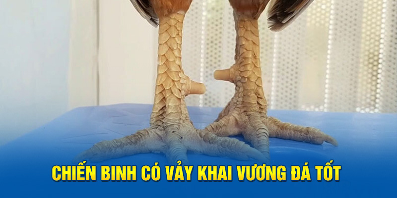 Chiến binh có vảy khai vương đá tốt