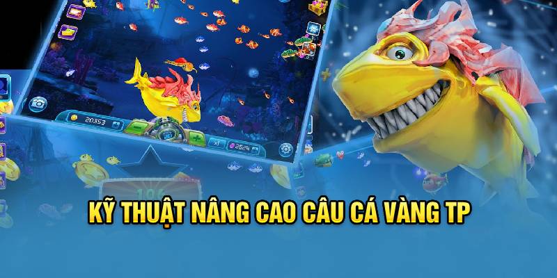 Kỹ thuật nâng cao câu cá vàng TP