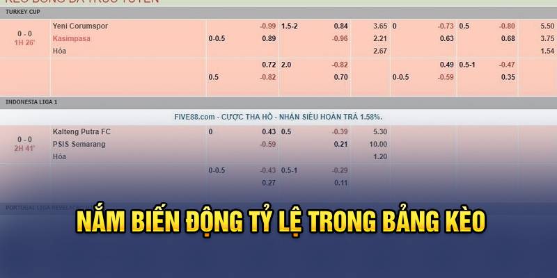 Nắm biến động tỷ lệ trong bảng kèo