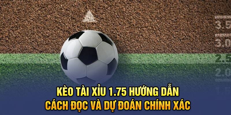 Kèo Tài Xỉu 1.75 Hướng Dẫn Cách Đọc Và Dự Đoán Chính Xác